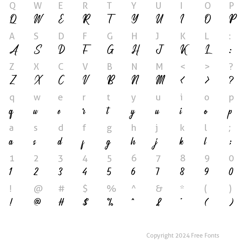 Character Map of Analyzer Regular