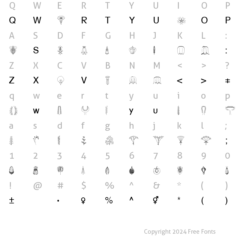 Character Map of BioFlower Becker Normal