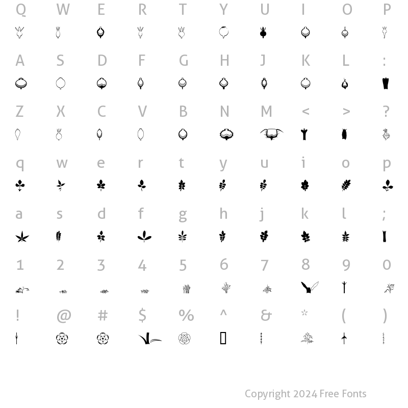 Character Map of BOTAROSA1 Regular