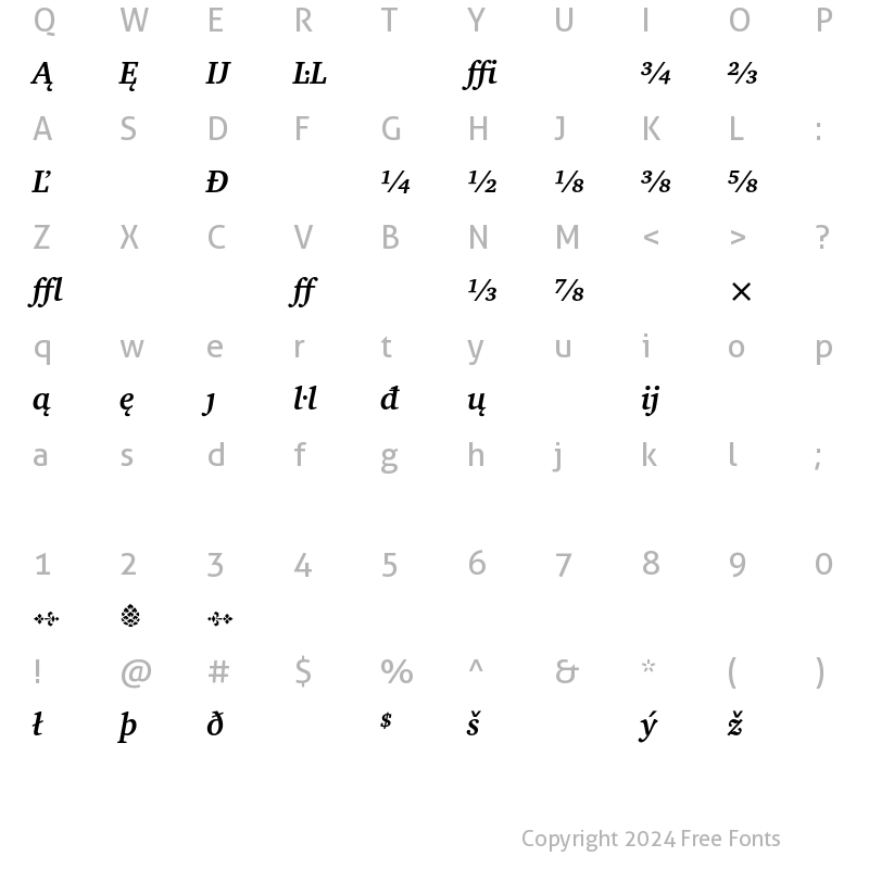 Character Map of Charter Extension Bold Italic