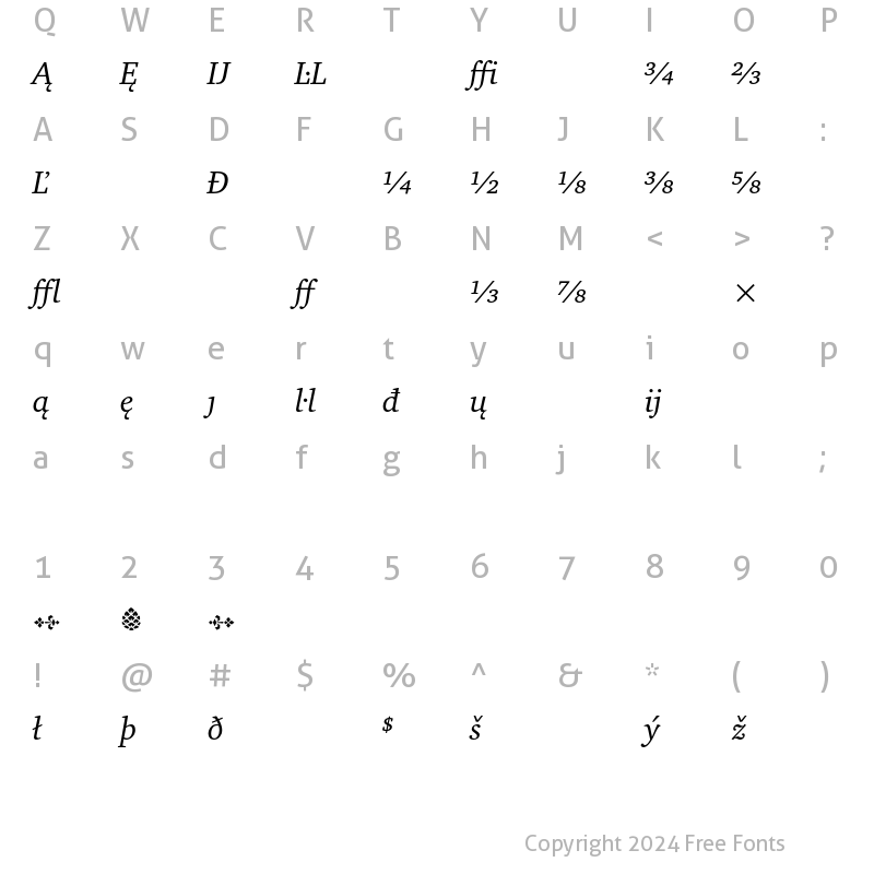 Character Map of Charter Extension Italic