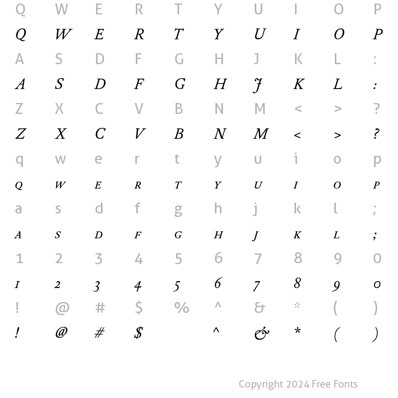 Character Map of DTL Elzevir T Caps Book Italic