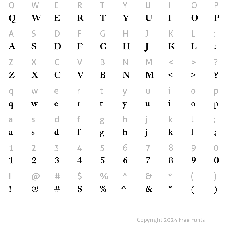 Character Map of DTL Fleischmann Display Medium