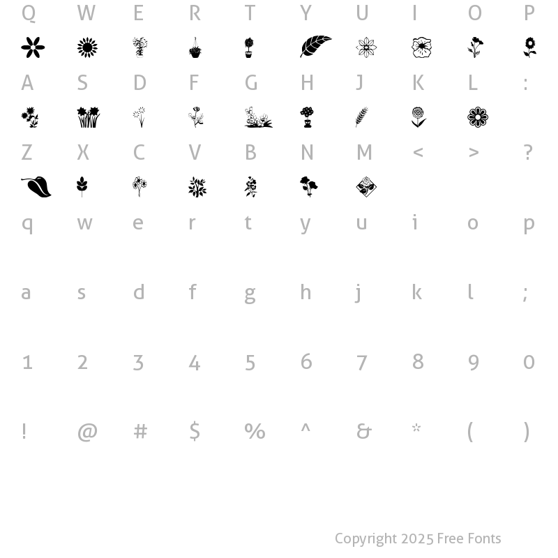 Character Map of flowers_csp Regular