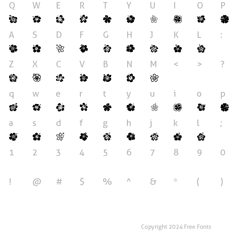 Character Map of Hibiscus Regular