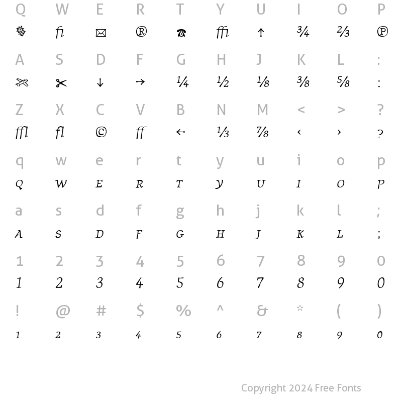 Character Map of JournalItalicFractions Italic