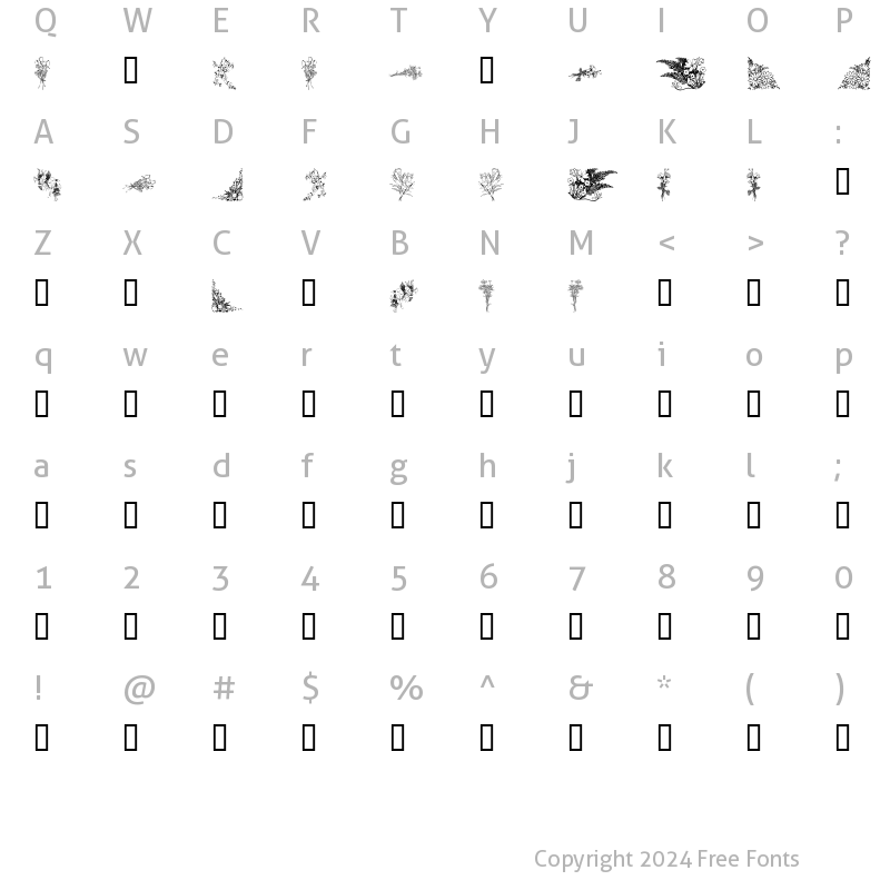 Character Map of LM Phils Phlorals Regular