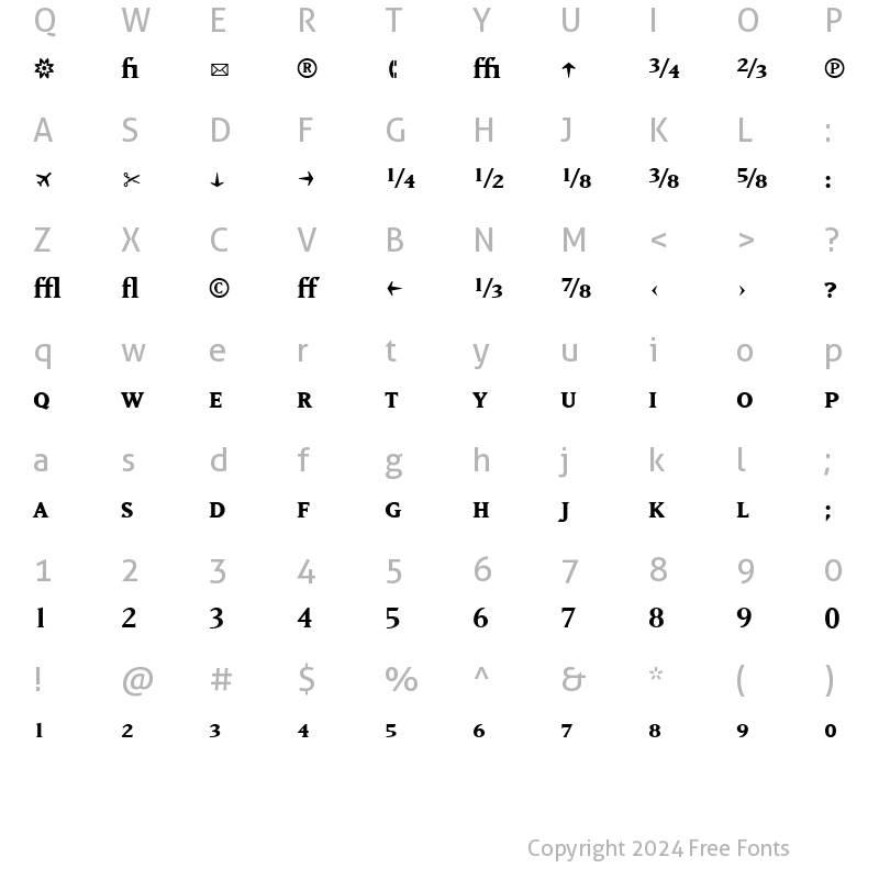 Character Map of MatrixBoldFractions Bold