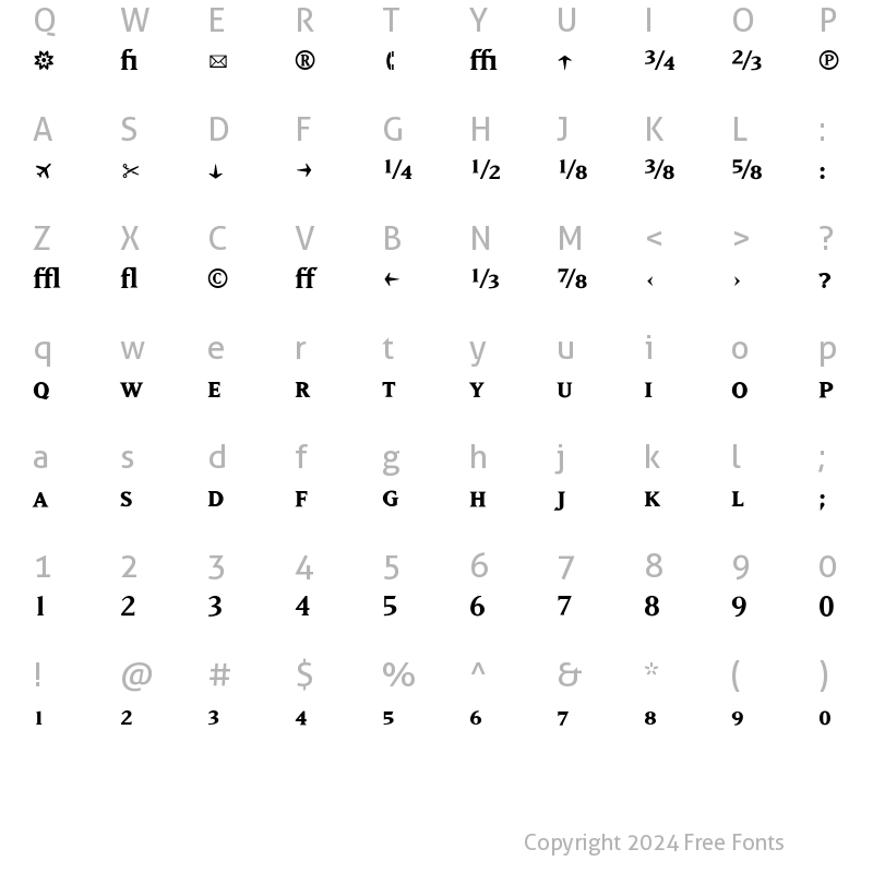 Character Map of MatrixFractions Bold