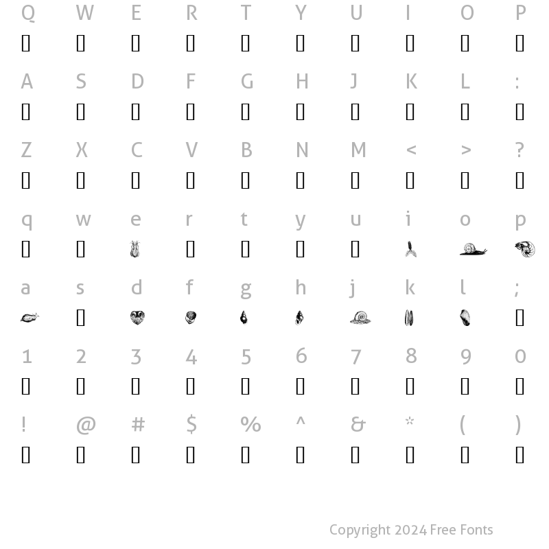 Character Map of mollusks one Regular