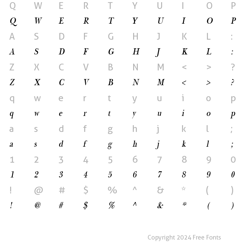 Character Map of NewBaskerThin Oblique