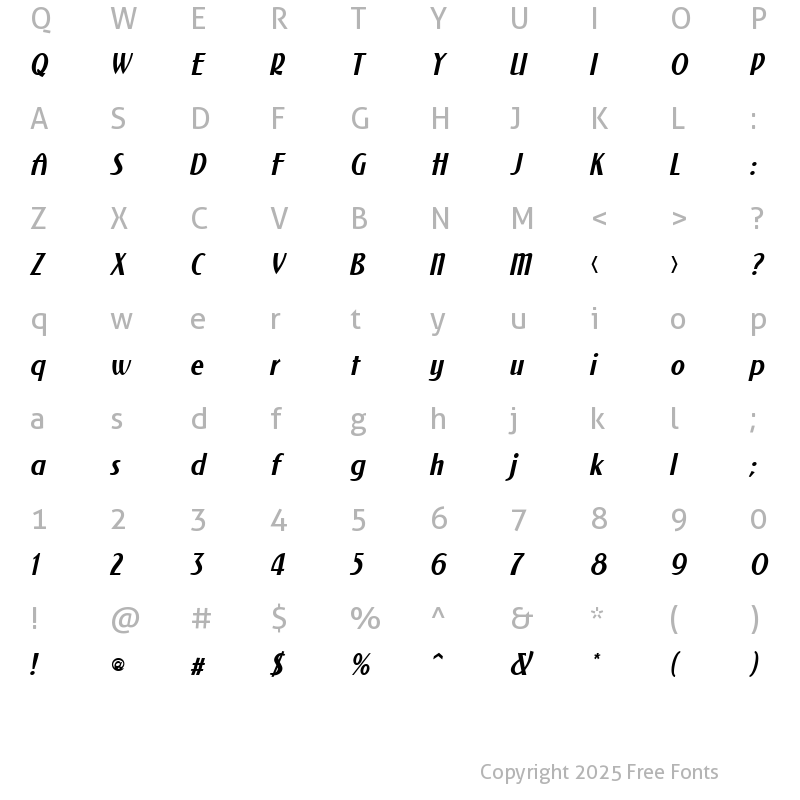 Character Map of NewForum Italic