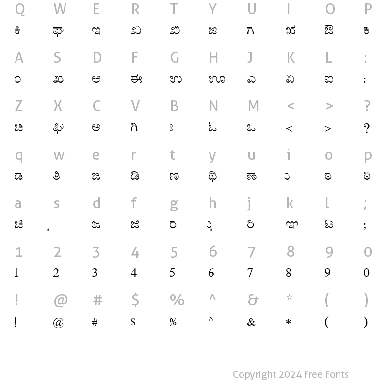 Character Map of Nudi 01 e Regular