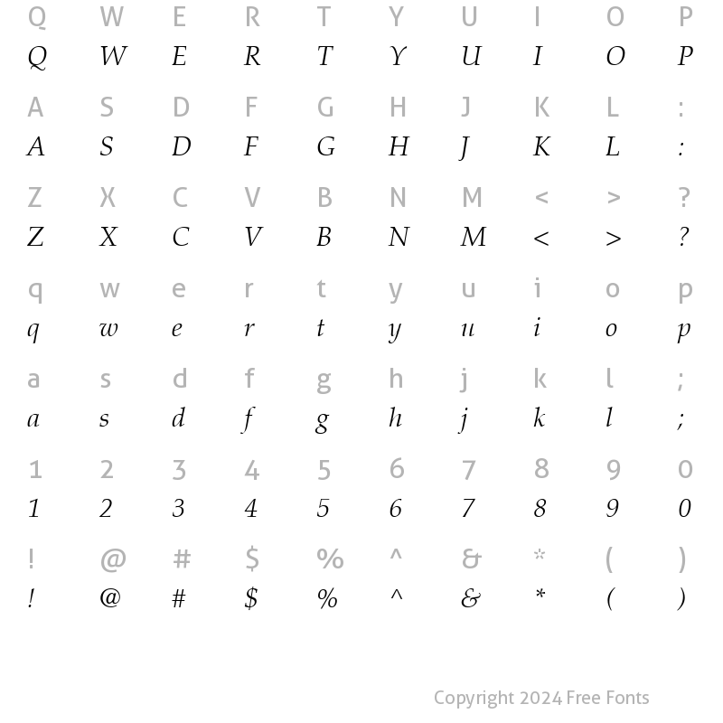 Character Map of Palatino-Light LightItalic