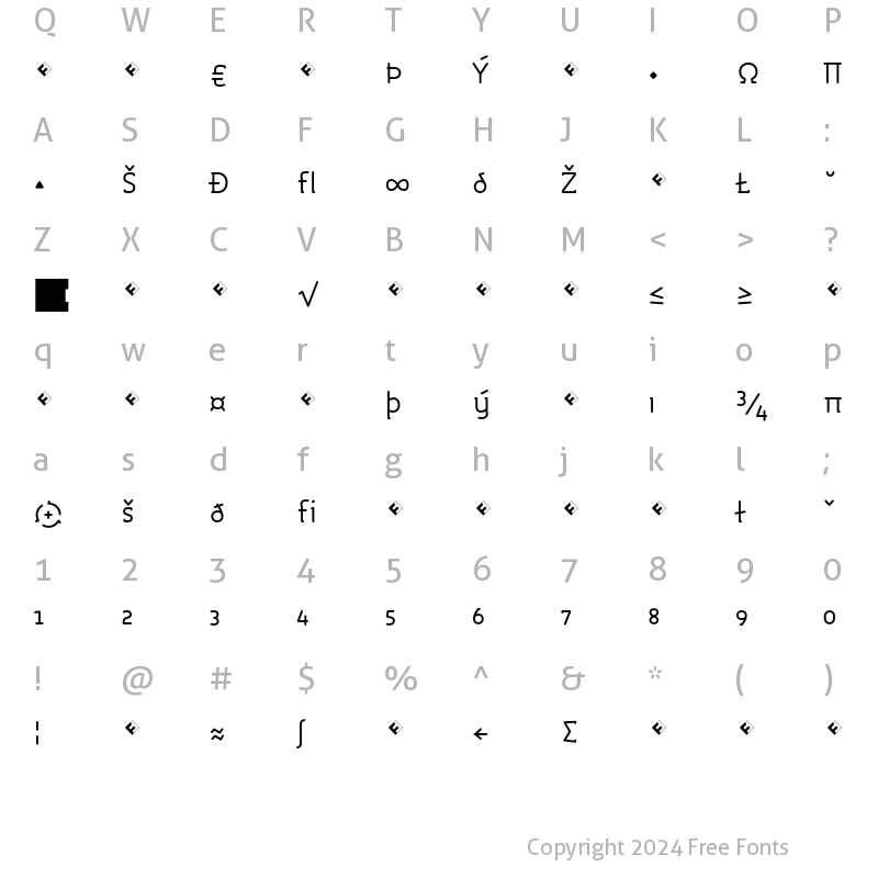 Character Map of Roice-RegularExpert Regular