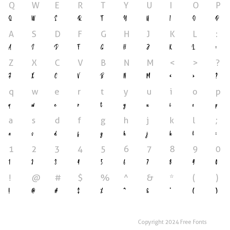 Character Map of Strongwild Regular