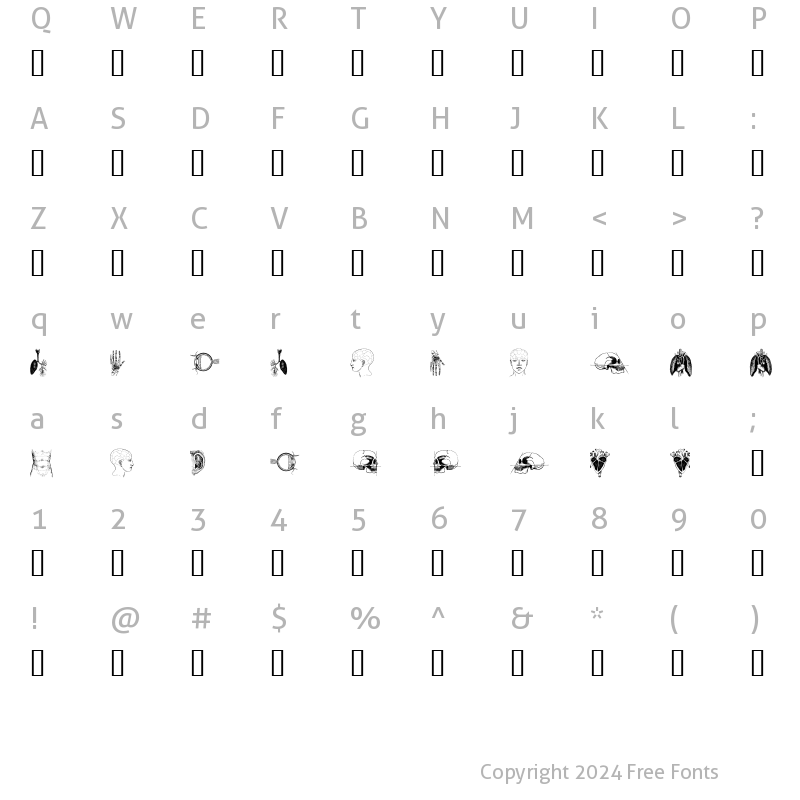 Character Map of the body, vol. I Regular